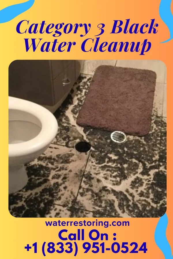 Category 3 Black Water Cleanup in Mountain Plains, SD