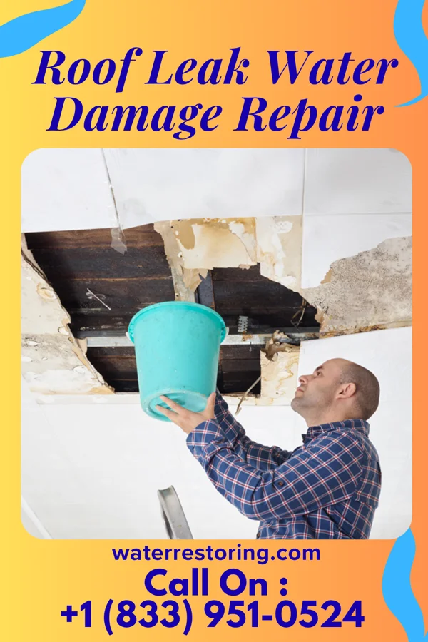 Roof Leak Water Damage Repair in Mountain Plains, SD